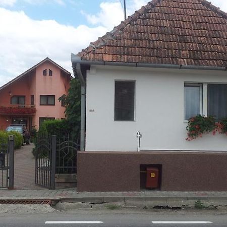 Casuta Andrey & Dan Villa Mihai Viteazu  Luaran gambar