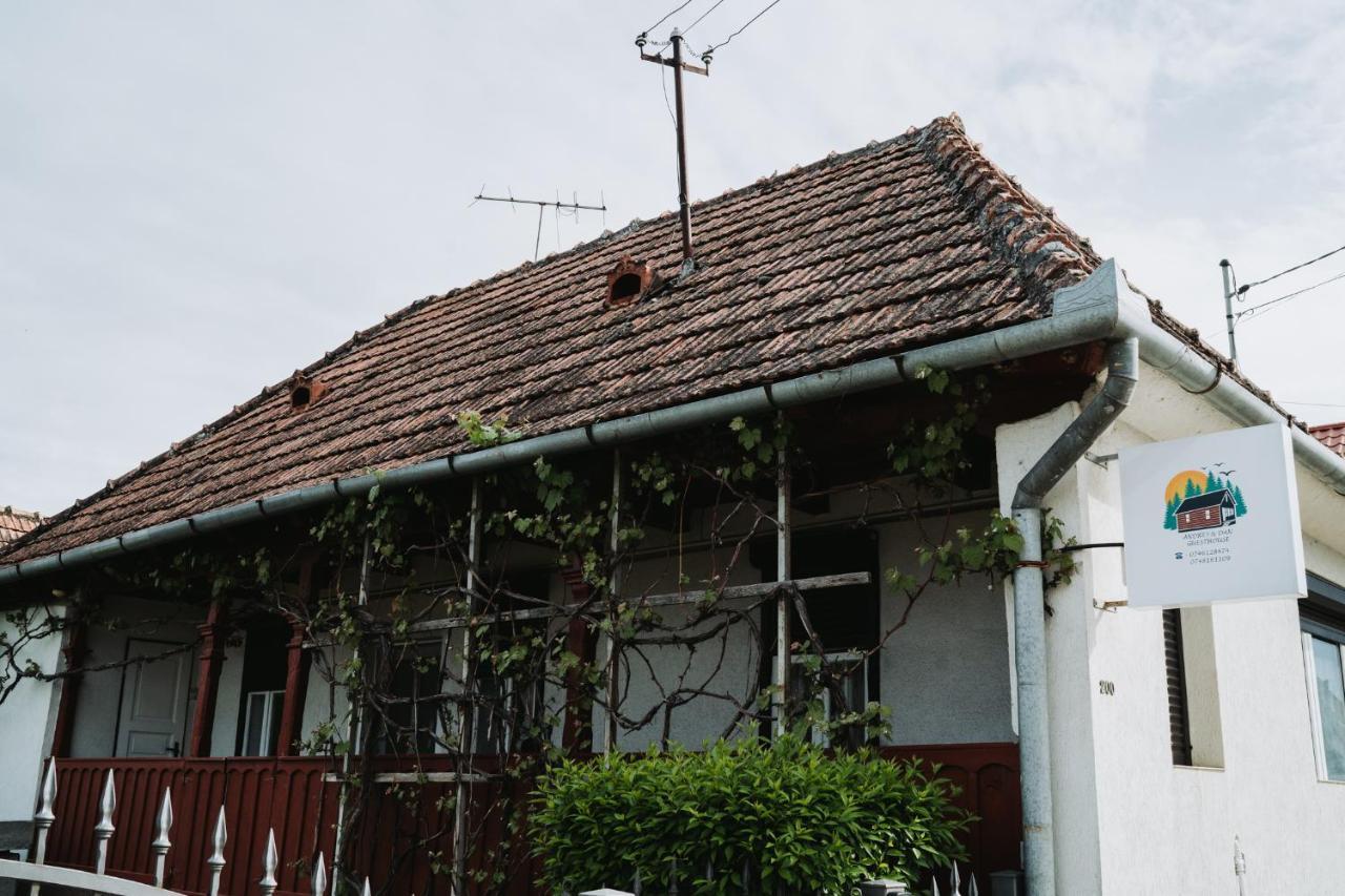 Casuta Andrey & Dan Villa Mihai Viteazu  Luaran gambar