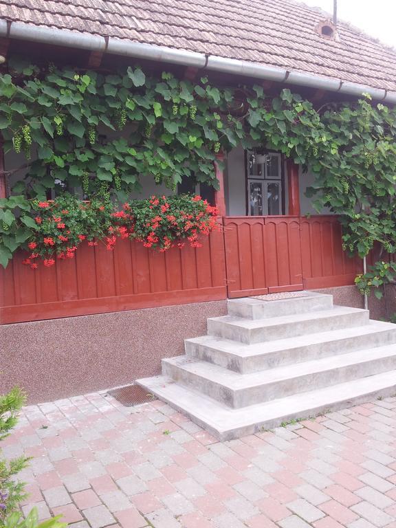 Casuta Andrey & Dan Villa Mihai Viteazu  Bilik gambar