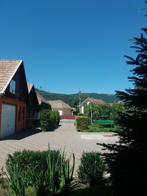 Casuta Andrey & Dan Villa Mihai Viteazu  Luaran gambar
